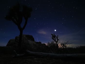 Low angle view of silhouette trees against sky at night