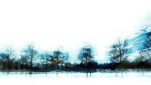 Trees on snow covered field against sky