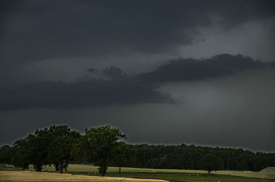 Trees on field against storm clouds