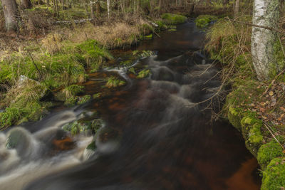 Stream flowing through rocks in forest