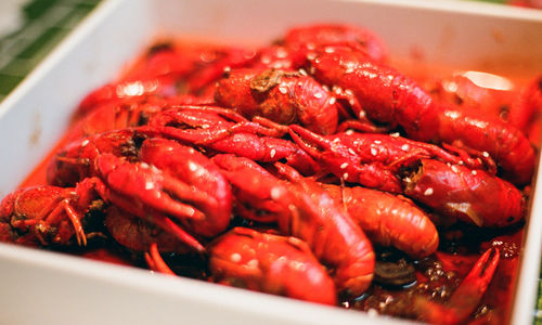 High angle close-up of crayfish in bowl