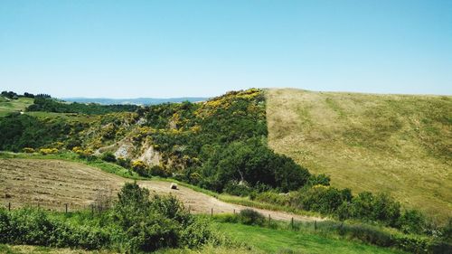 Scenic view of landscape against clear blue sky