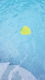 High angle view of yellow floating on swimming pool