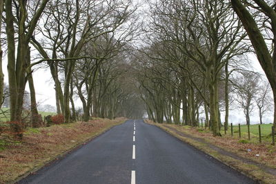 Empty road amidst trees