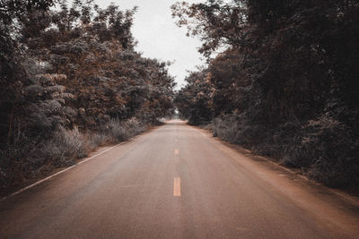 Empty road amidst trees against sky
