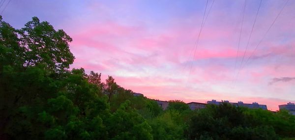 Low angle view of trees against sky during sunset