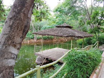 Gazebo by trees