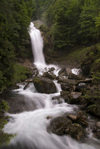 Scenic view of waterfall in forest