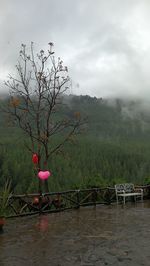 View of trees on landscape against cloudy sky