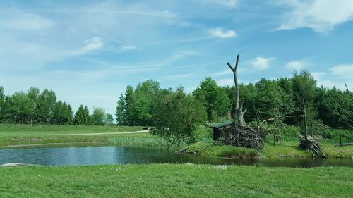 Scenic view of grassy field against sky