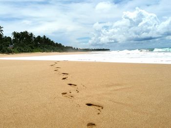 Lonely footprints on the beach 