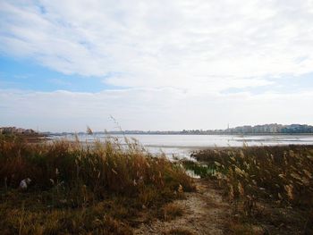 Scenic view of sea against sky