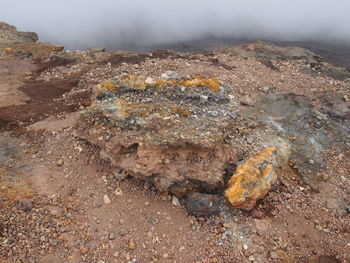 Close-up of rocky surface