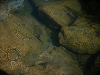 Full frame shot of water