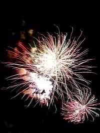 Low angle view of firework display at night