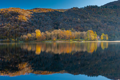 Scenic view of lake in forest during autumn