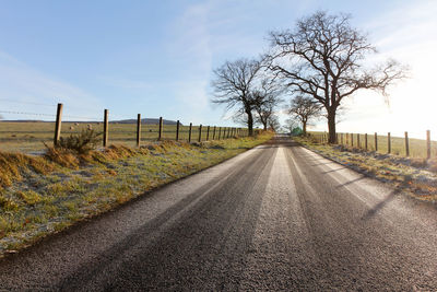 Winter empty road amidst bare trees against sunny blue sky