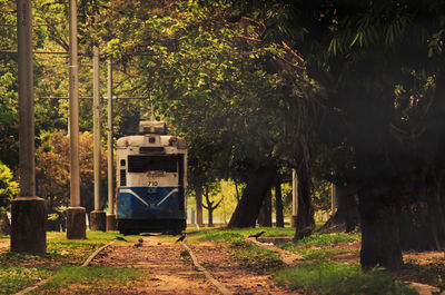 Old tram on field amidst trees