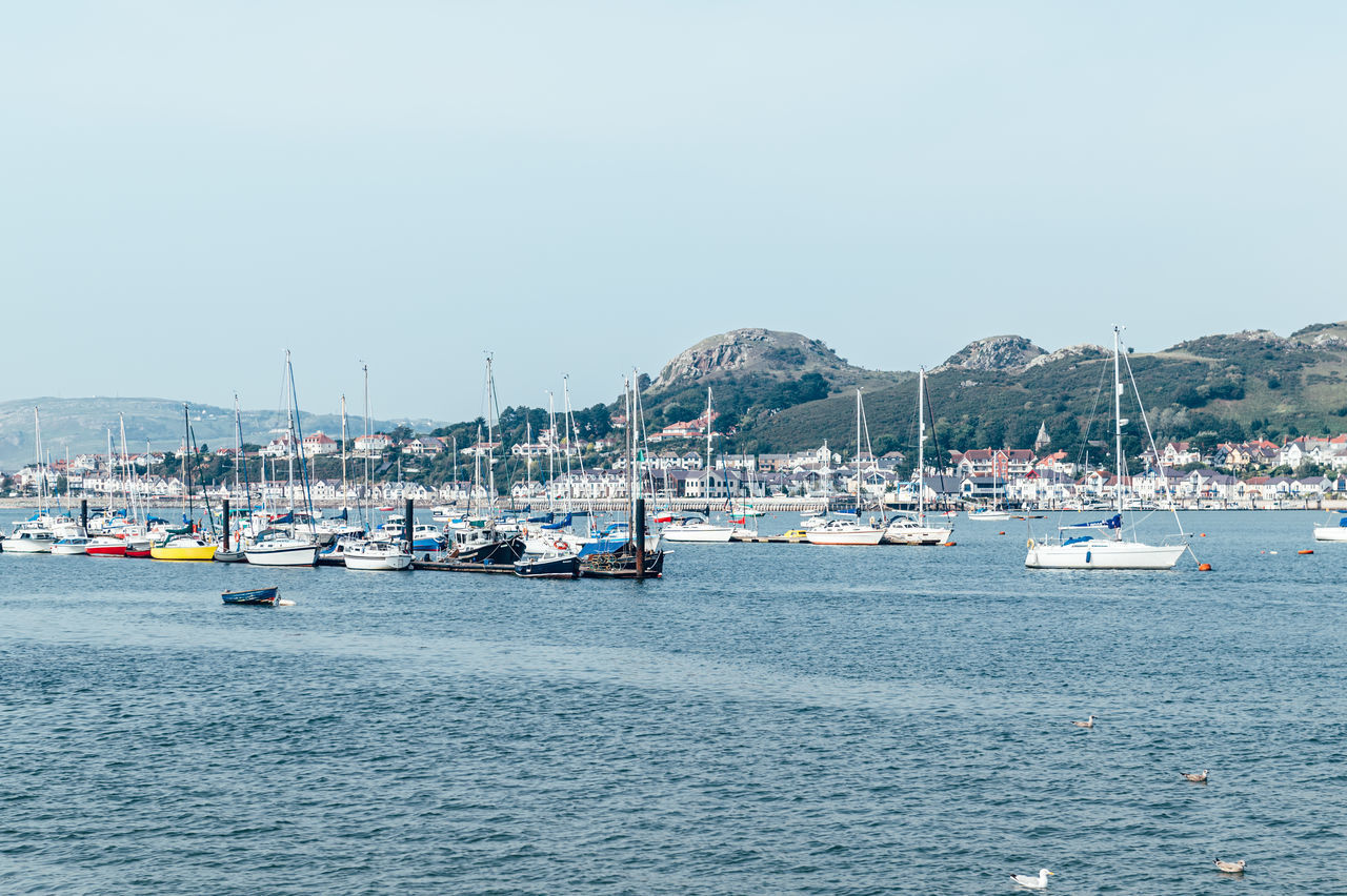 BOATS IN MARINA