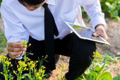 High angle view of businessman holding digital tablet while looking at flower in park