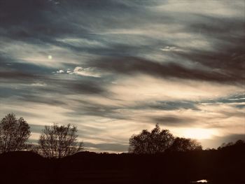 Silhouette trees on field against sky at sunset