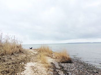 Scenic view of sea against cloudy sky