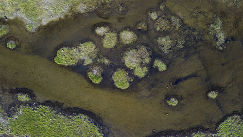 High angle view of rocks by sea