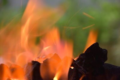 Close-up of bonfire against blurred background
