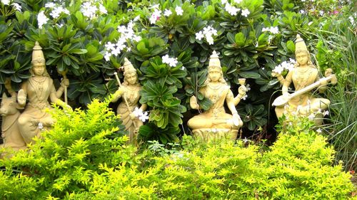 Statue amidst plants and trees