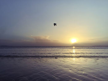 Scenic view of calm sea at sunset