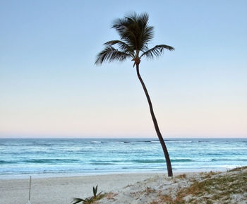 Scenic view of sea against clear sky