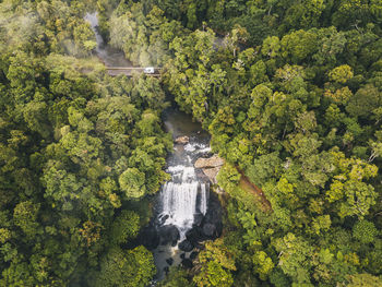 Aerial shot of zillie falls sourranded by lush green forest while a van driving through a bridge crossing in tropical queensland, australia