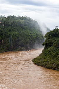 Scenic view of river amidst trees against sky