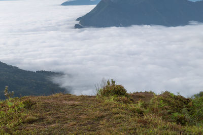 Scenic view of landscape against sky