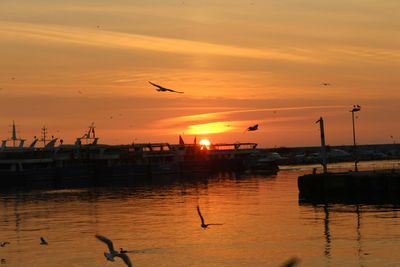 Silhouette of birds flying over lake during sunset