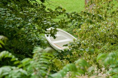 View of plants growing in yard