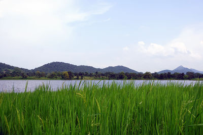 Scenic view of lake against sky