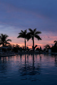 Silhouette palm trees by swimming pool against sky during sunset