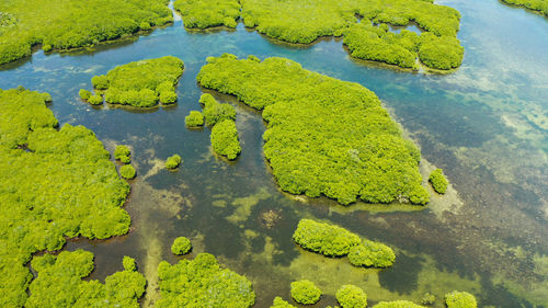 High angle view of leaf floating on water