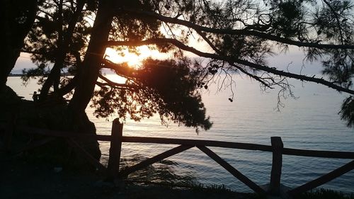 Silhouette tree by sea against sky during sunset