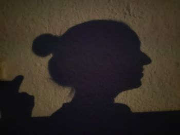 Close-up portrait of silhouette people against wall