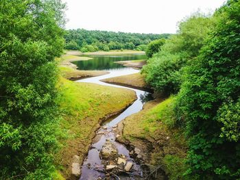 Scenic view of river with trees in background