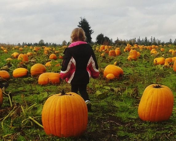 pumpkin, halloween, rear view, autumn, field, one person, vegetable, orange color, scarecrow, jack o' lantern, cloud - sky, childhood, sky, agriculture, children only, choice, day, celebration, one girl only, nature, outdoors, grass, growth, standing, holiday - event, people, rural scene, child, girls, tree, multi colored, freshness, real people, beauty in nature, young adult, jack o lantern, adult, witch