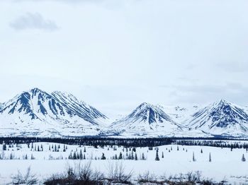 Snow covered mountains against sky