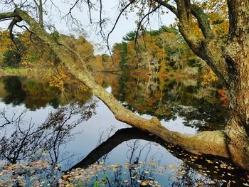 Reflection of trees in lake against sky during autumn