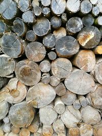 Full frame shot of logs