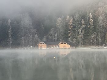 Scenic view of lake in forest