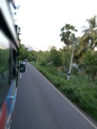 Close-up of car on road against trees