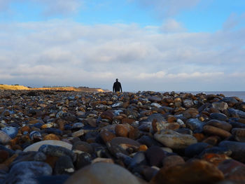 Rear view of man standing on rocks by sea against sky