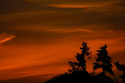 Low angle view of silhouette tree against orange sky